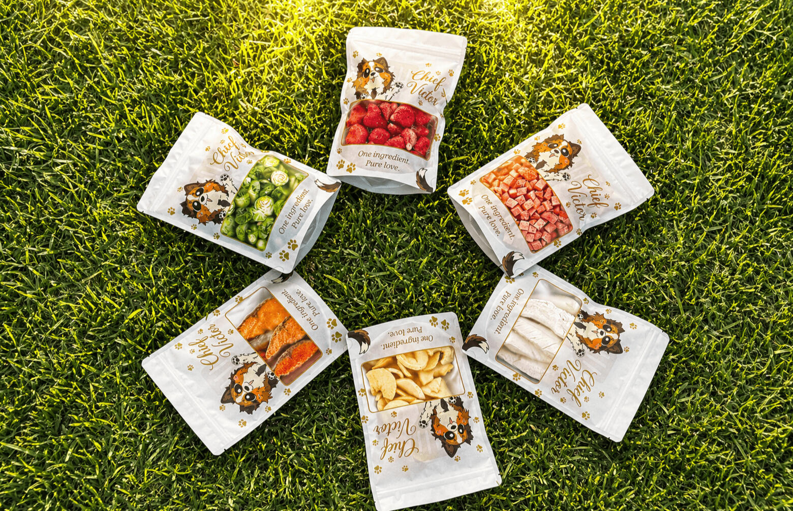 Six varieties of Chief Victor dog treats arranged on grass